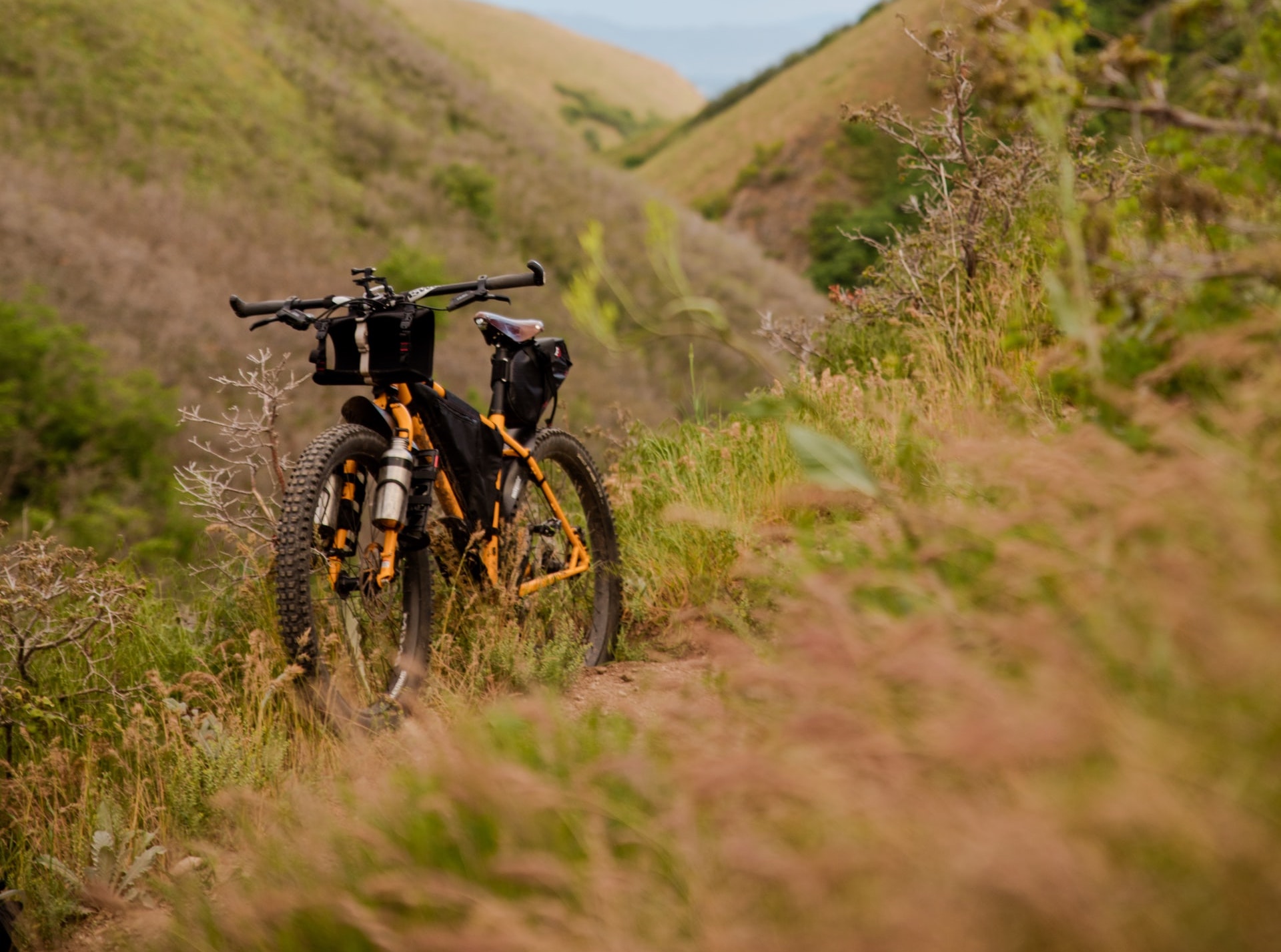 Appenninica bike tour