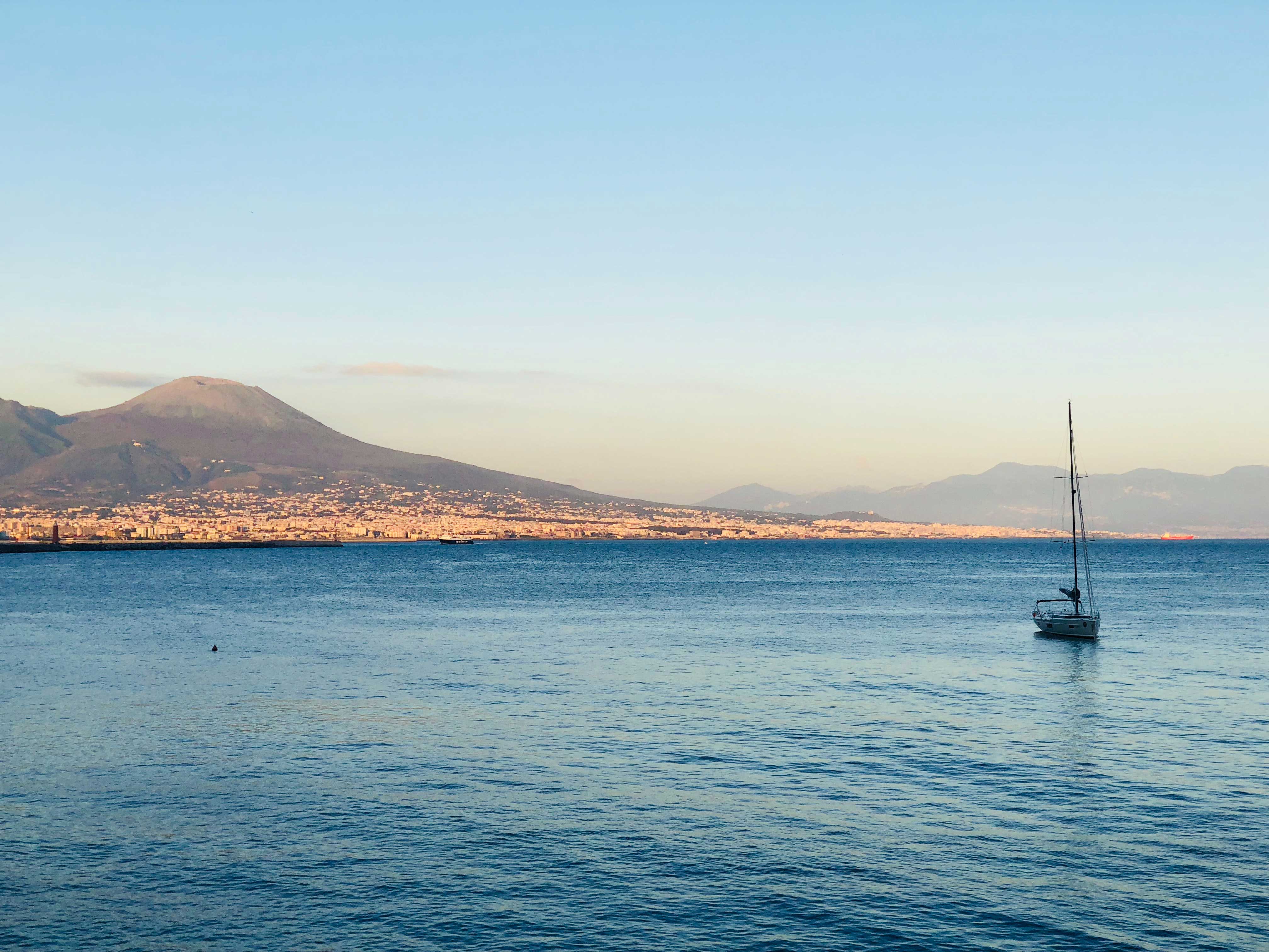 fauna marina
