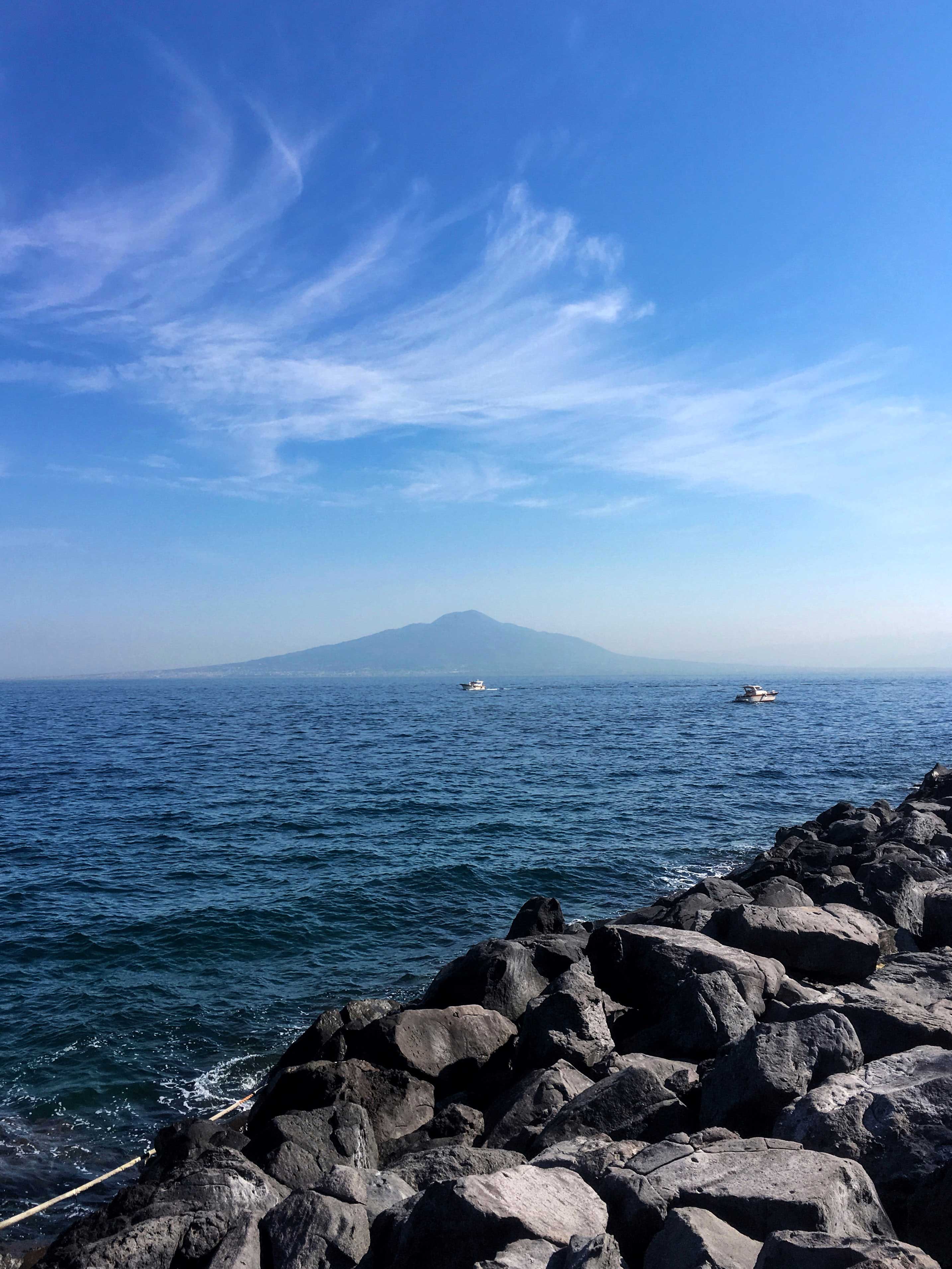 fauna marina
