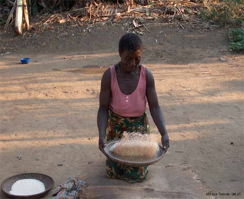 Woman rice Chipole img