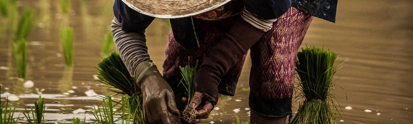 Il commercio Equo e solidale