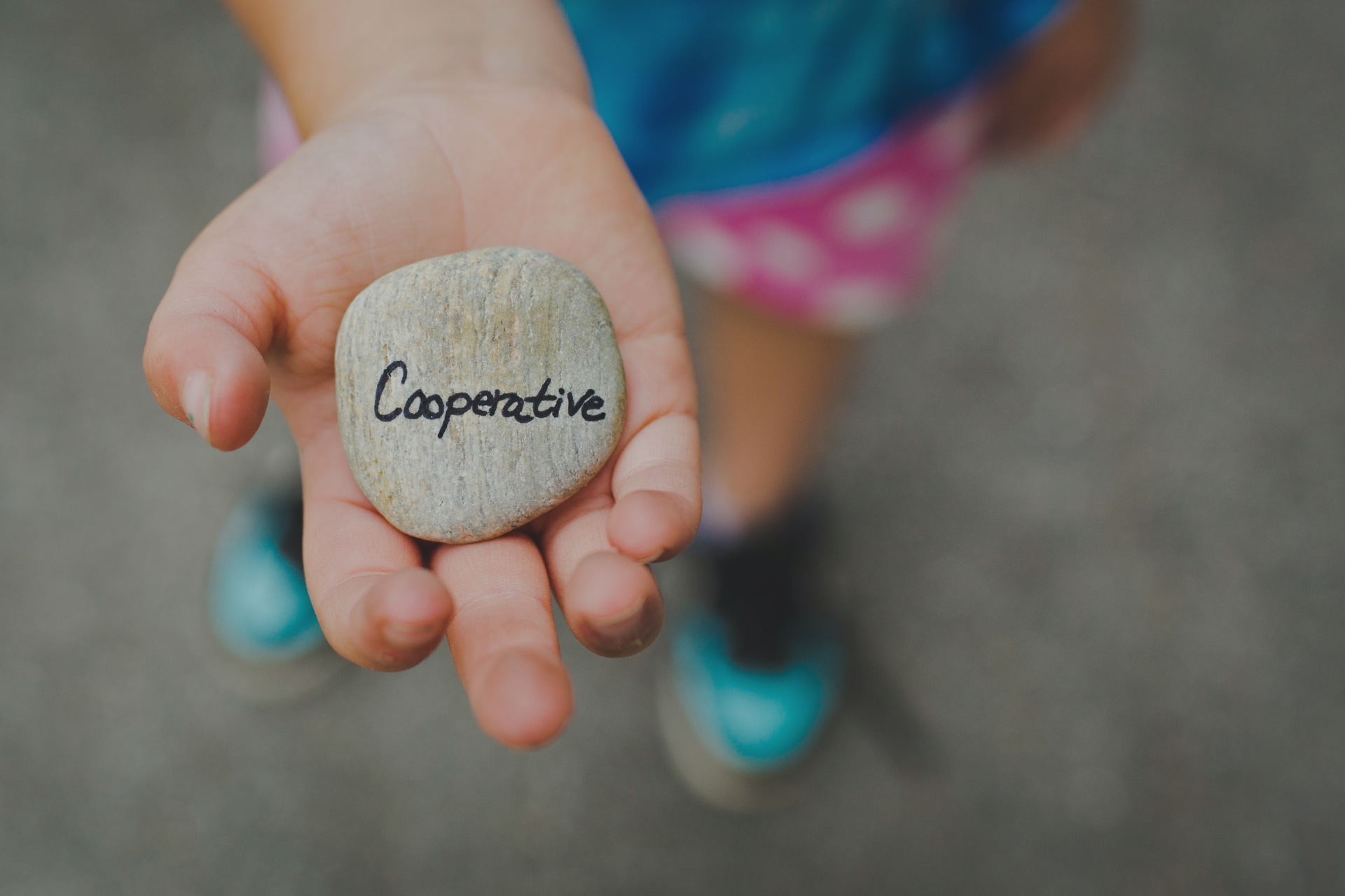 Cooperativa cover