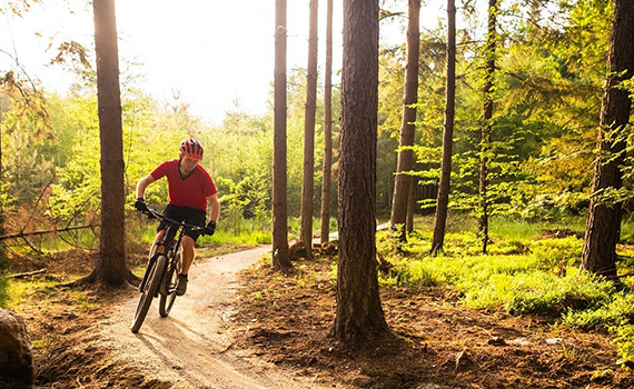 Ciclista che percorre un sentiero in un bosco