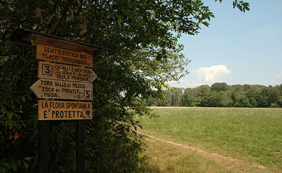 Cartelli di indicazione per i sentieri della brughiera, prato sullo sfondo