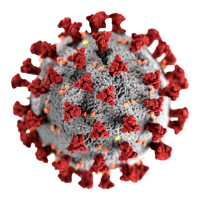 Allerta CoVid,immagine Coronavirus
