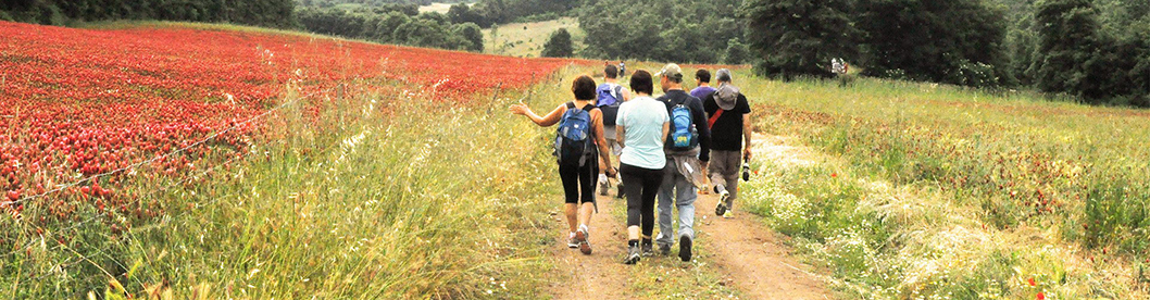 Escursionisti che passeggiano nella brughiera,
                        circondati da prati e papaveri rossi.