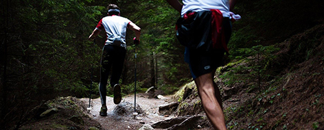Due trekker su un impervio sentiero di montagna
                                circondato da boschi di abeti.