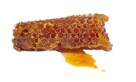 corsi materie prime
