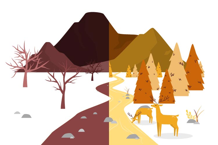 api e natura