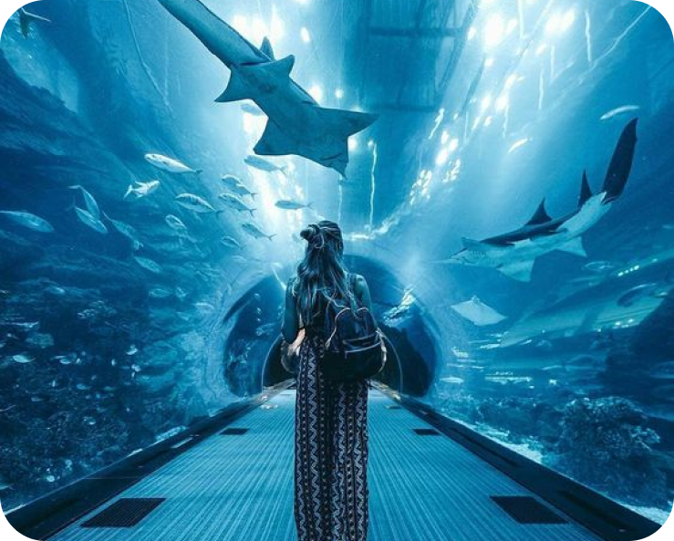 Tunnel Aquaria