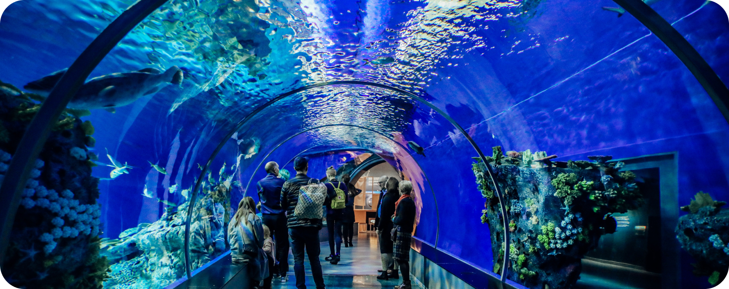 Persone che percorrono tunnel Aquaria osservando animali marini