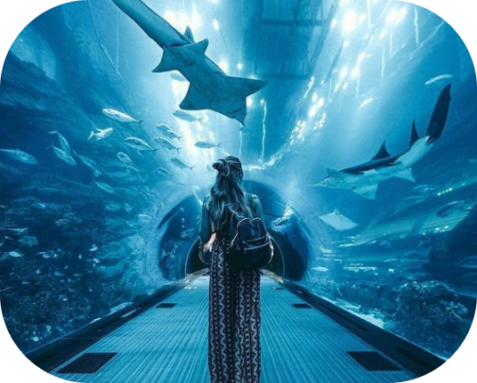 Tunnel Aquaria
