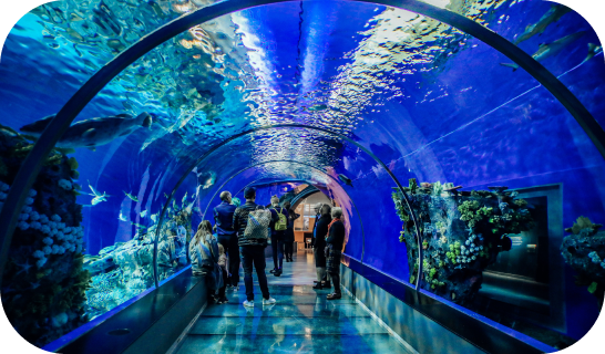 Persone che percorrono tunnel Aquaria osservando animali marini