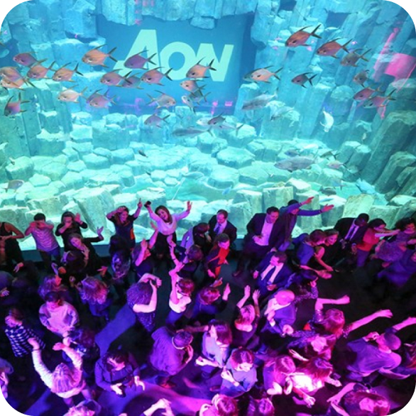 discoteca subacquea