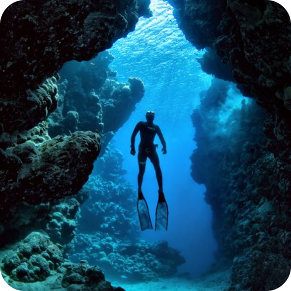 sub escursione nelle grotte sottomarine