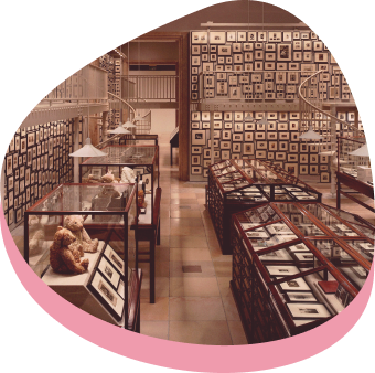 una sala interna del Museo Onzin