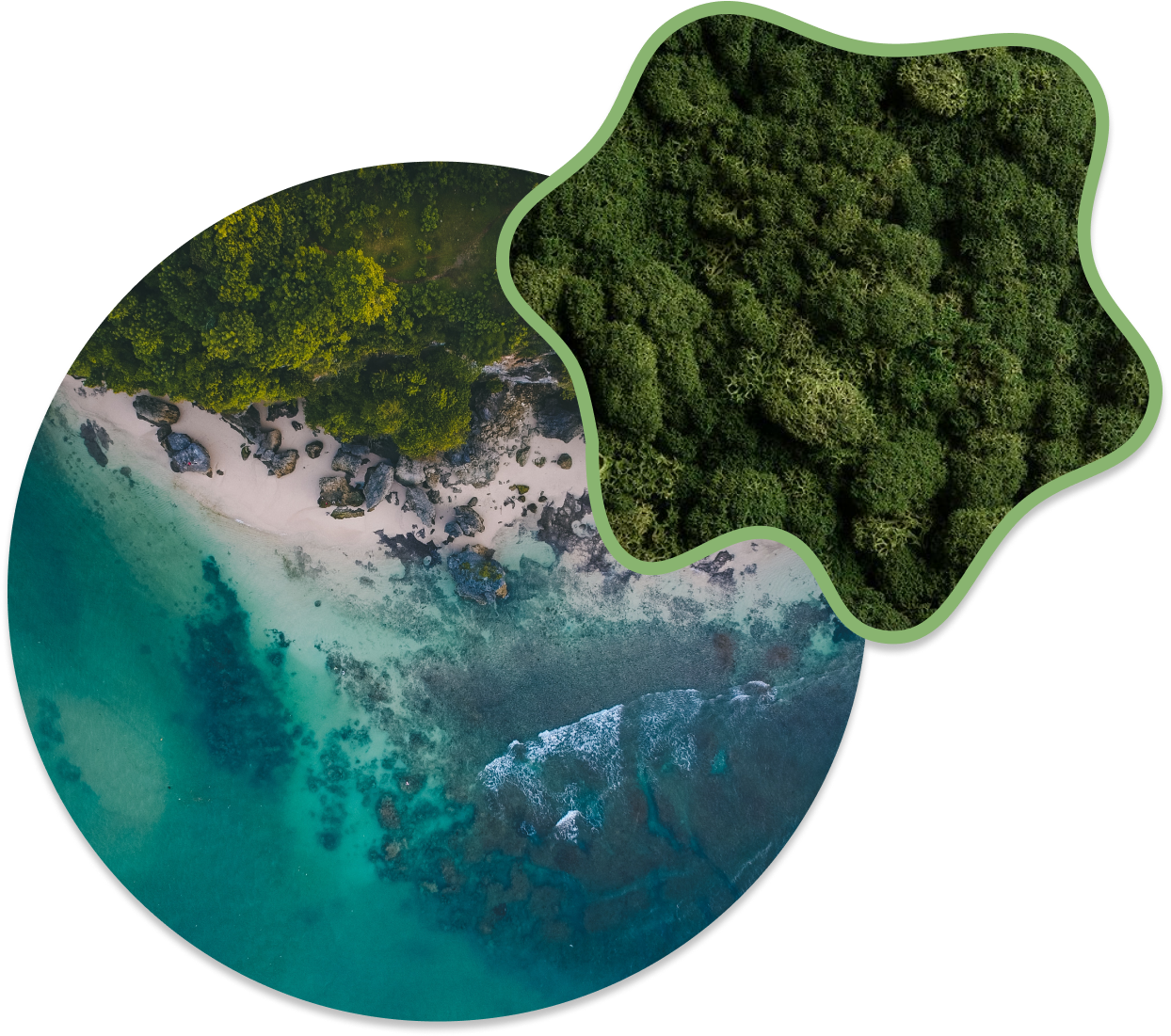 forma isola