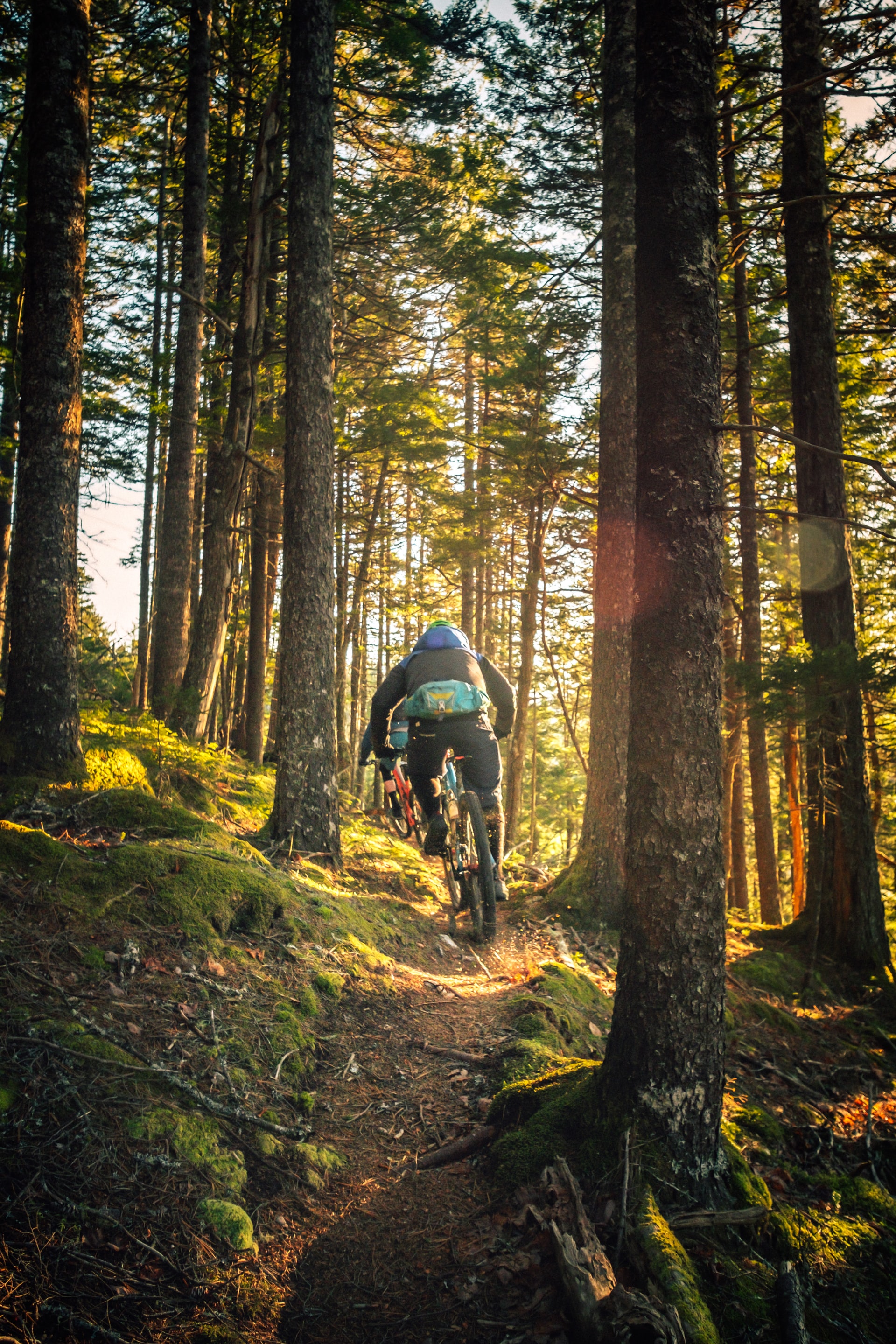 mtb