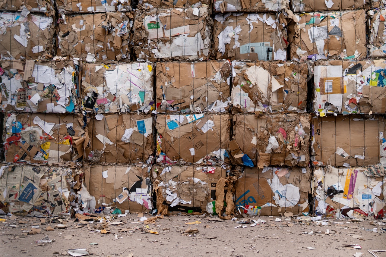 discarica cartoni