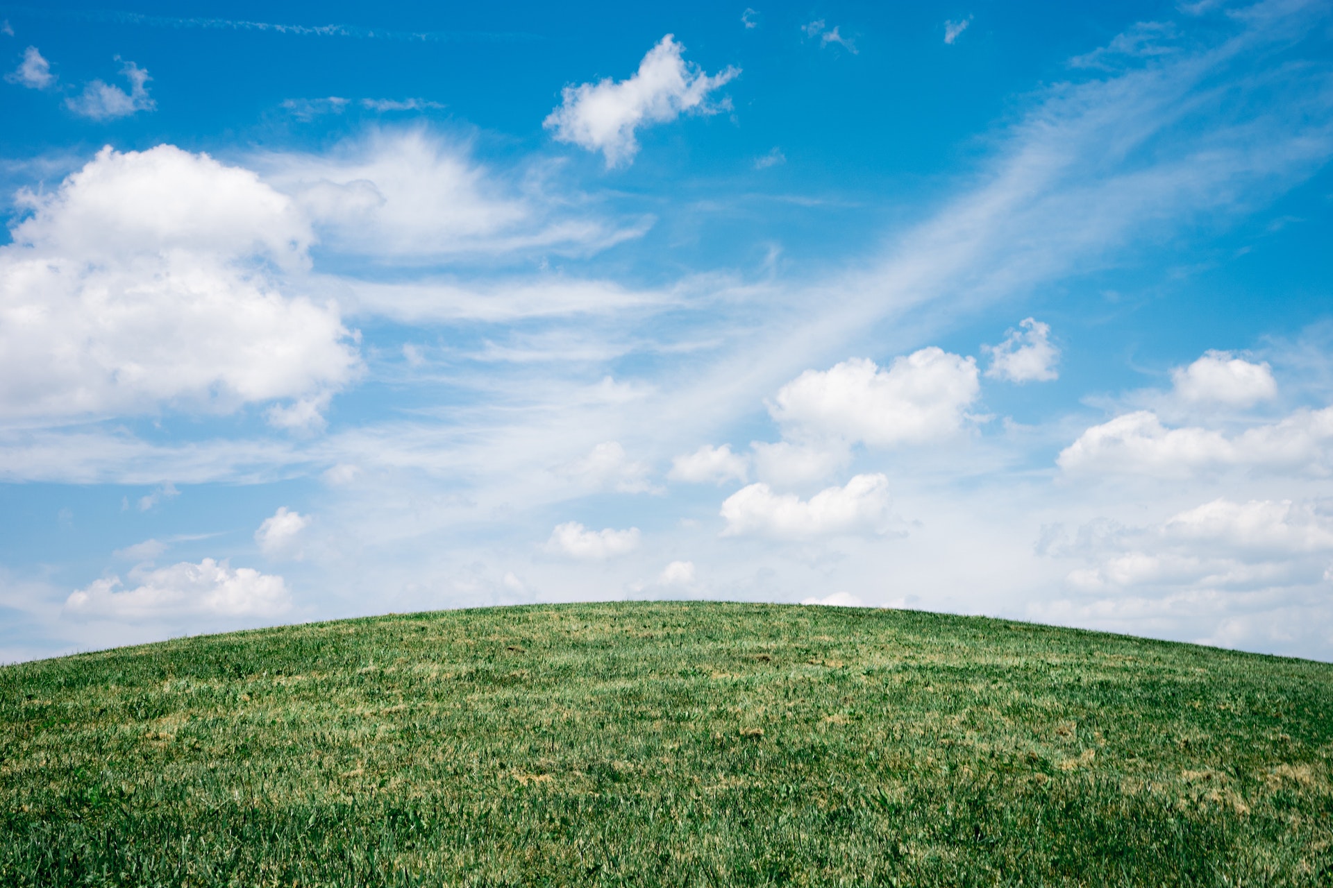 environment