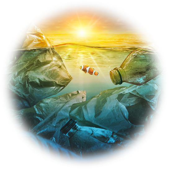 fish among the dirt of the ocean