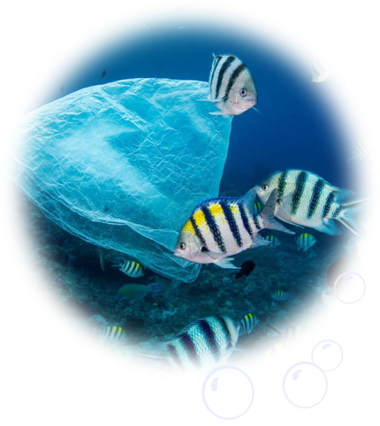 pesce che nuota tra i rifiuti