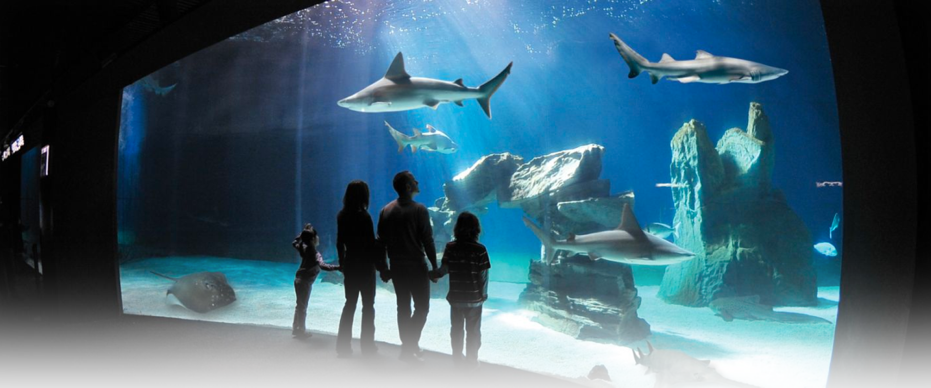 acquario di Genova