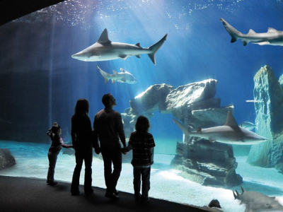 Acquario di Genova