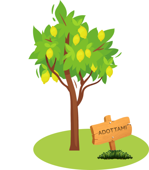 Albero di Limoni
