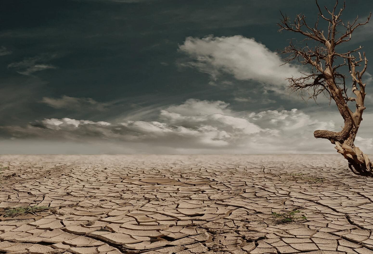 Suolo con desertificazione