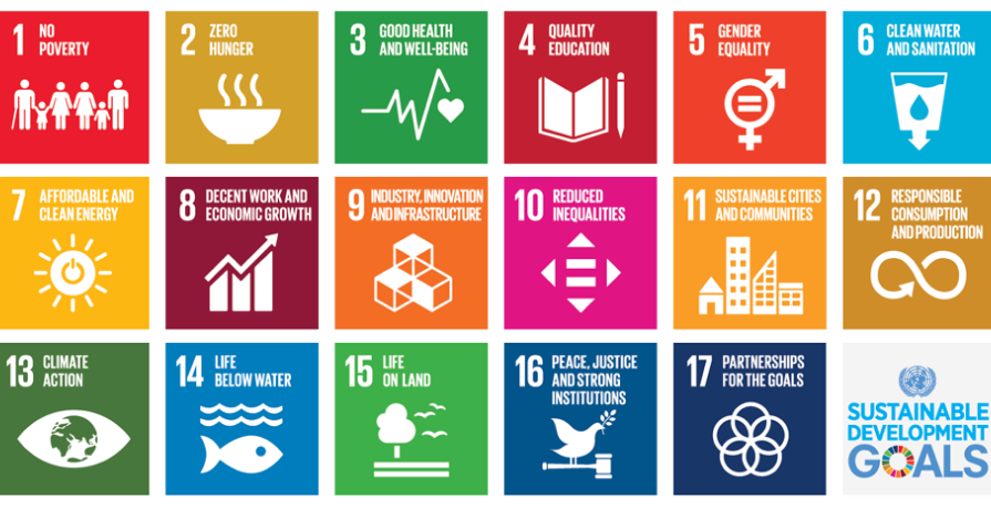 17 punti dell'agenda 2030