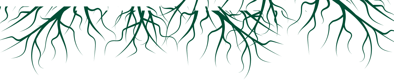 Radici decorative