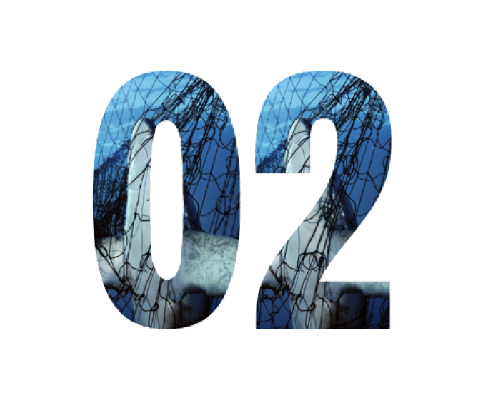 Numero 02
