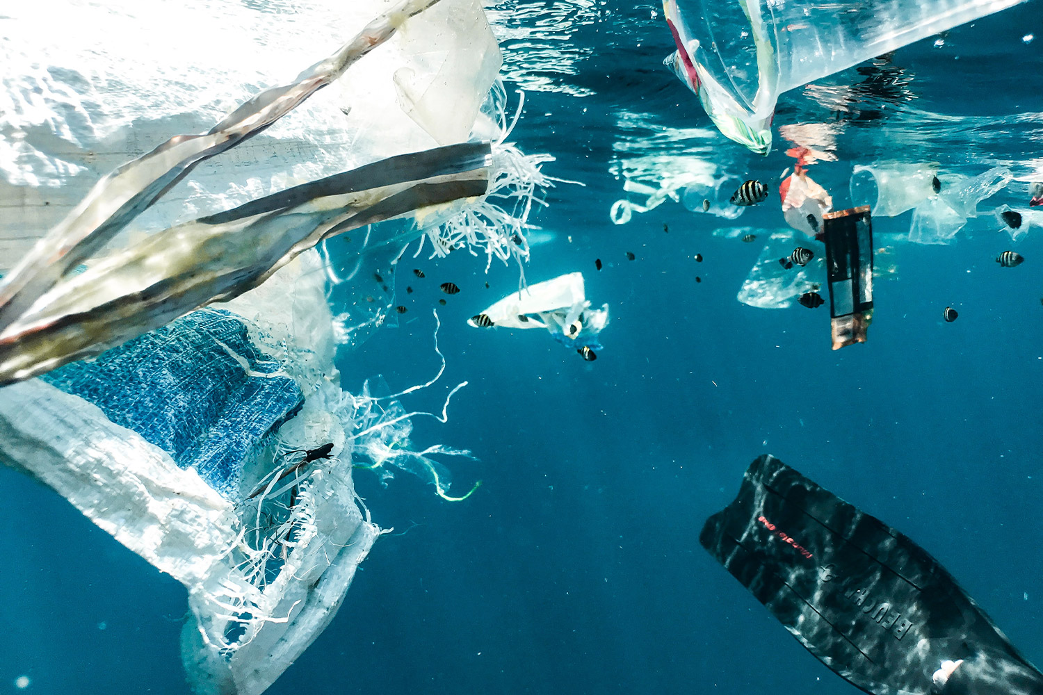 rifiuti di plastica nel mare